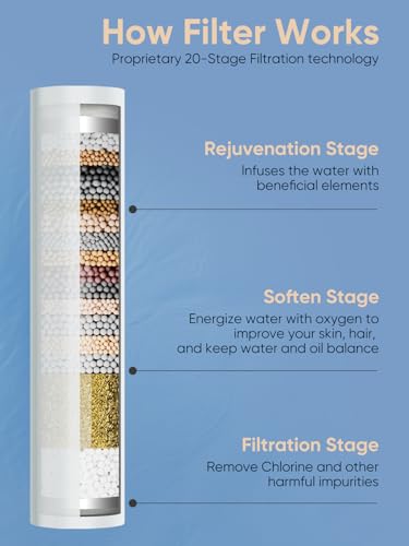 Filtered Shower Head with Handheld