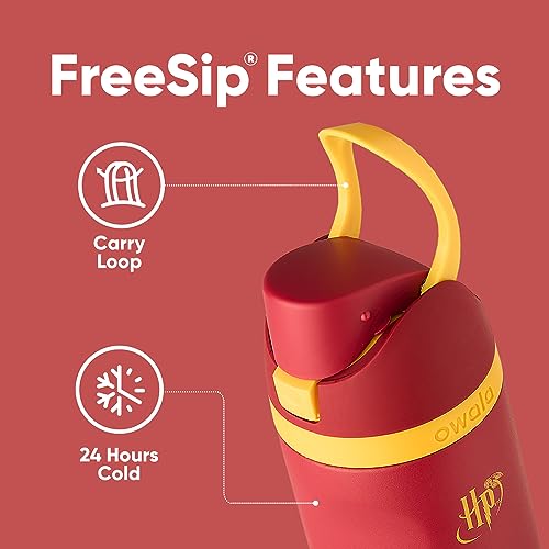 Harry Potter FreeSip Stainless Steel Water Bottle 24 oz Gryffindor
