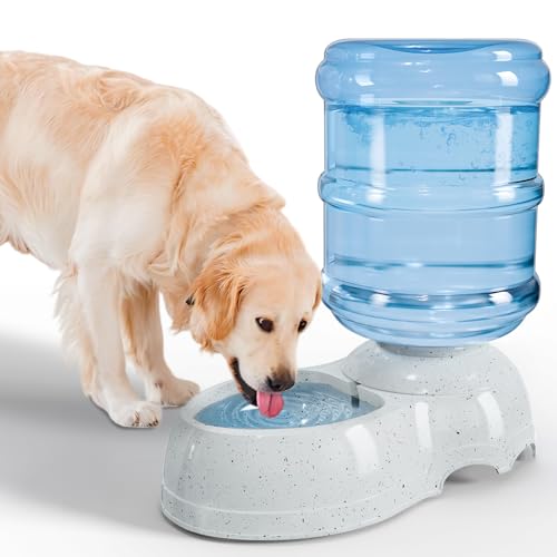 3 Gallon Large Dog Water Dispenser