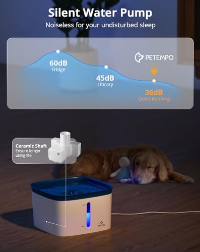 Cat Water Fountain
