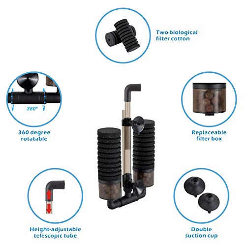 Sponge Filter