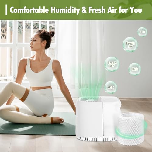 Humidifier Wicking Replacement Filter Compatible with Canopy Bedside and Nursery Humidifiers (3 Count)