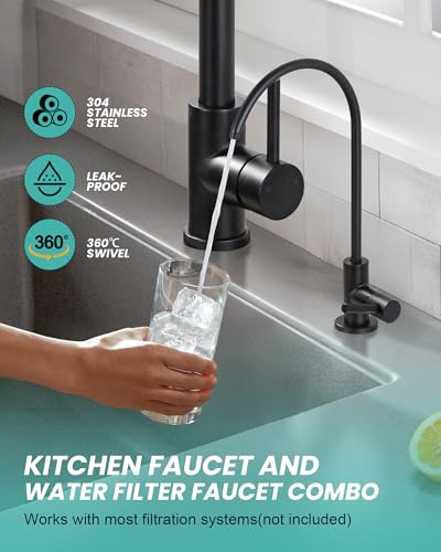 Kitchen Faucet and Water Filter Faucet