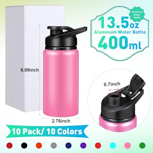 10 Pcs 13.5oz Aluminum Water Bottles Bulk
