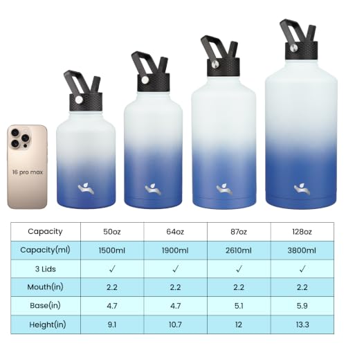 64 oz Insulated Stainless Steel Water Bottle Jug with Handle