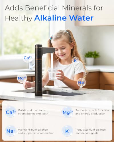 X12 WAQ Under Sink Alkaline Mineral RO Water Filter