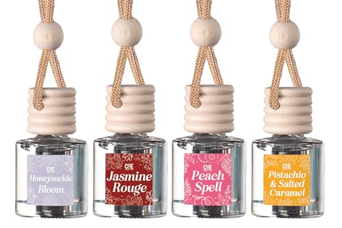 Hanging Car Air Freshener (4 Count)