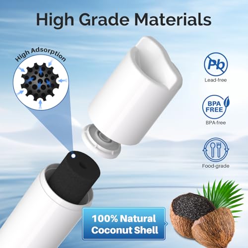 5231JA2006A Replacement for LG LT600P Water Filter (2 Count)