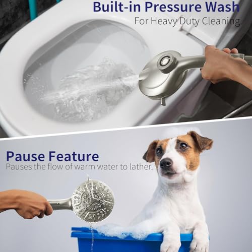 Handheld Shower Head with Filter
