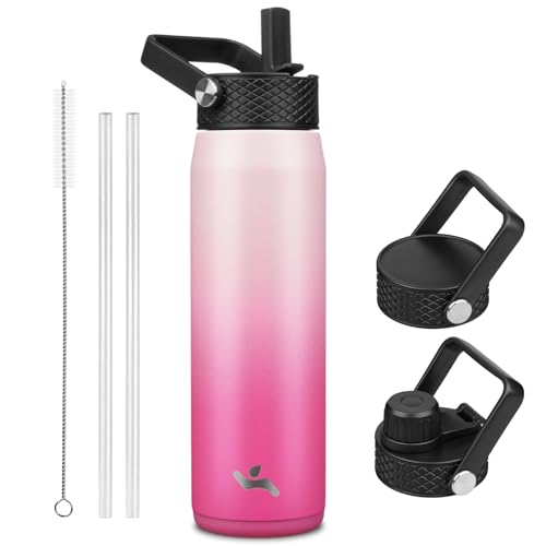 25 oz Insulated Stainless Steel Water Bottle with 3 Lids