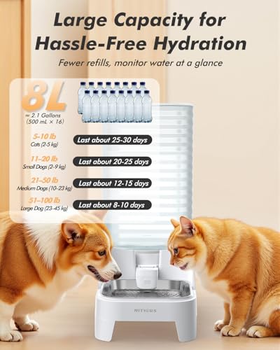 Automatic Dog Water Bowl Dispenser with Patented Faucet