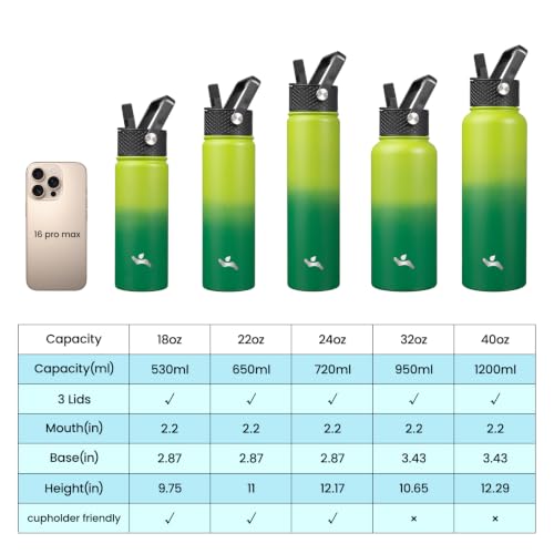 22 oz Insulated Stainless Steel Water Bottle with Straw Lid