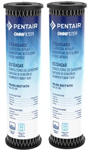Pentair OMNIFilter TO1 Carbon Water Filter (2 Count)