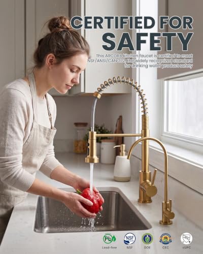 Kitchen Faucet and Water Filter Faucet
