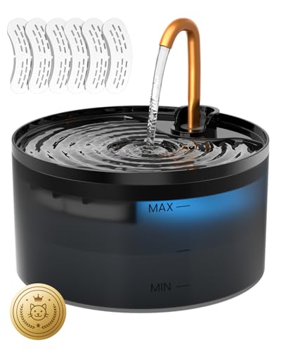 Cat Water Fountain with 6 (74 Fl Oz)