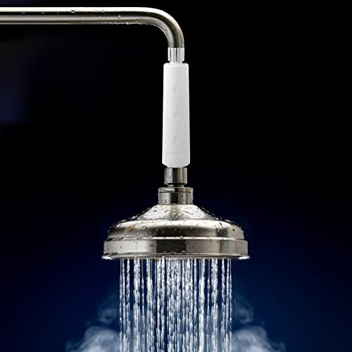 legionela in Line Shower Head Filter