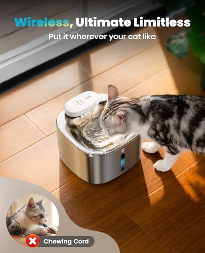 Wireless Cat Water Fountain