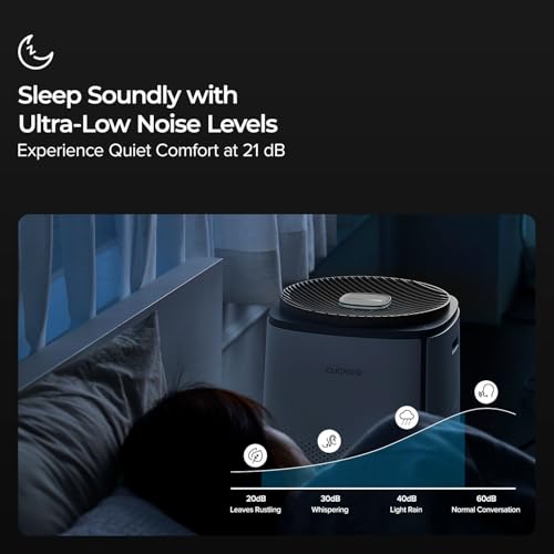 HEPA Air Purifier for Home