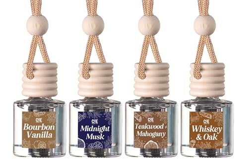 Hanging Car Air Freshener (4 Count)