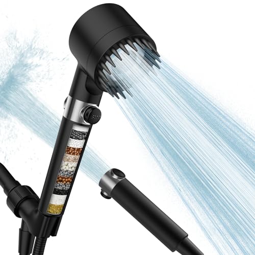 Filtered Shower Head with Handheld
