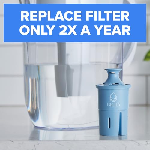 Elite Water Filter Replacements for Pitchers and Dispensers (2 Count)