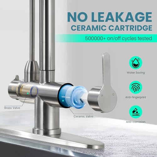 Kitchen Faucet with Water Filter Faucet