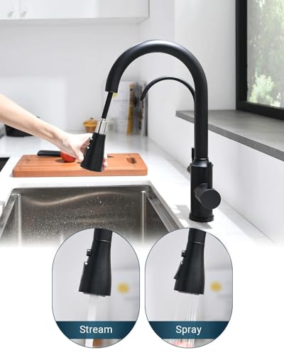 Kitchen Faucet with Water Filter