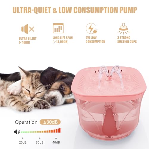 Cat Water Fountain