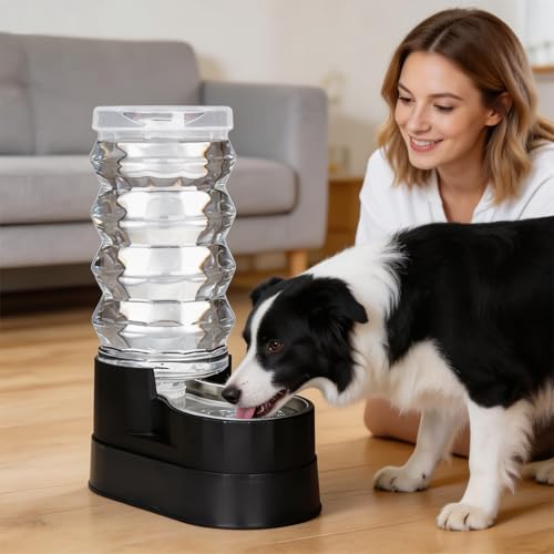 9L Elevated Dog Waterer