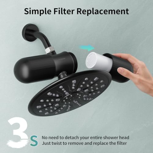 Duo Shower Filter