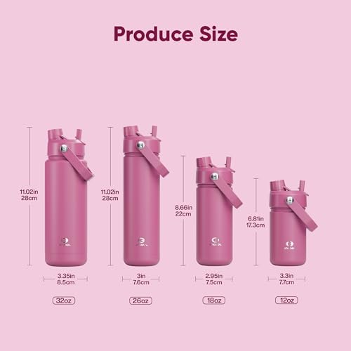 Insulated Water Bottle with Straw Stainless Steel Water Bottle