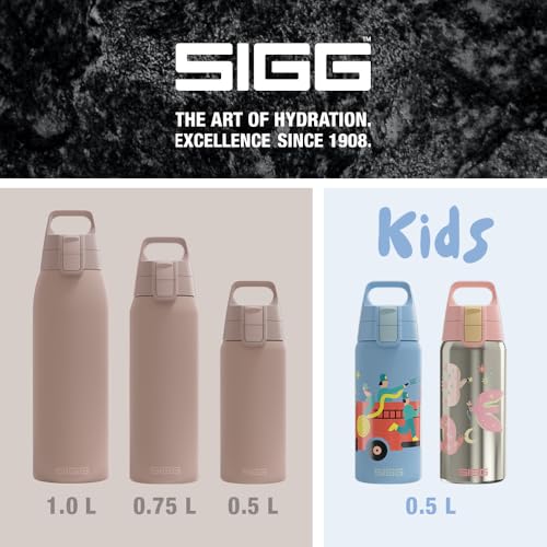 Insulated Water Bottle
