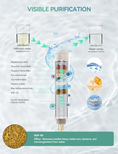 Shower Head with Handheld