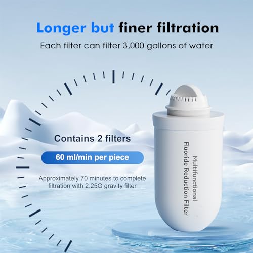 2 Pack K8006 Multifunctional Fluoride Water Filter Elements (2 Count)