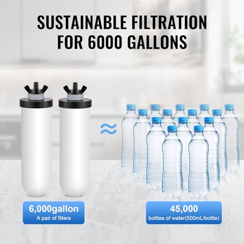 Gravity fed Water Filter System