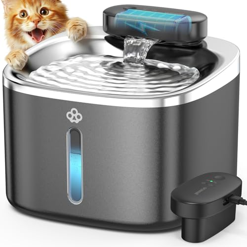 Cat Water Fountain