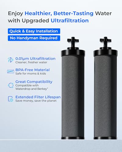 Ultrafiltration] Waterdrop Water Filter (2 Count)