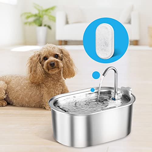 Cat Water Fountain Filters