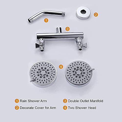 Double Shower Head with Shut