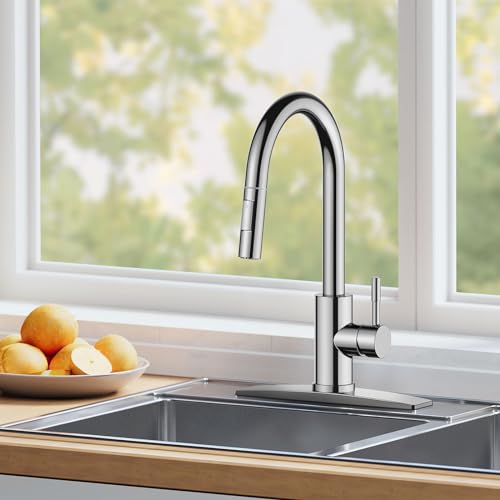 Kitchen Sink Faucet