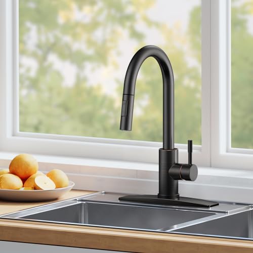 Kitchen Faucet with Pull Down Sprayer