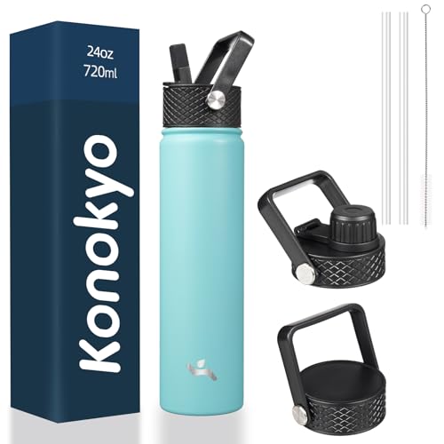 24 oz Insulated Stainless Steel Water Bottle with Straw Lid