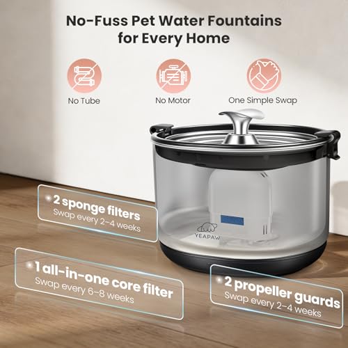 Cat Water Fountain All