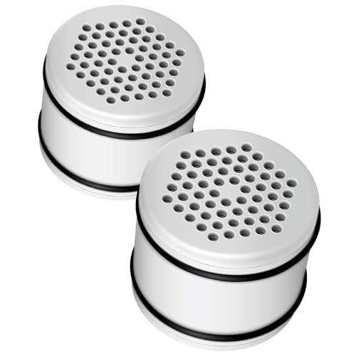 WHR 140 Shower Filter (2 Count)