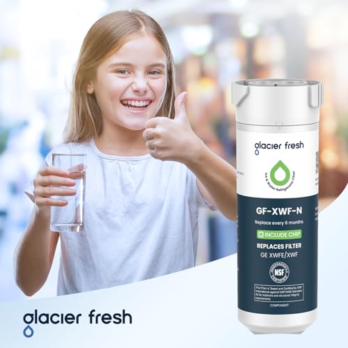 XWFE (Built-in CHIP) Refrigerator Water Filter Pack of 4 (4 Count)