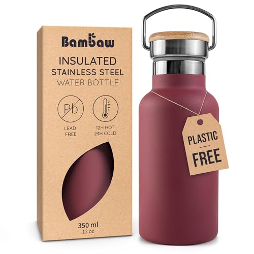Small Stainless Steel Water Bottle 12 oz with Handle