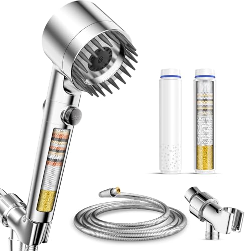 Filtered Shower Head with Handheld