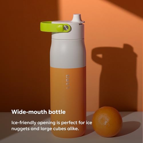 Swig Top Insulated Stainless Steel Water Bottle with Straw and Handle
