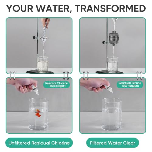 High Pressure Filtered Shower Head with Filters for Hard Water Combo