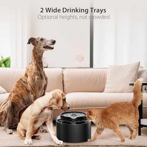 Waterfall Dog Water Fountain